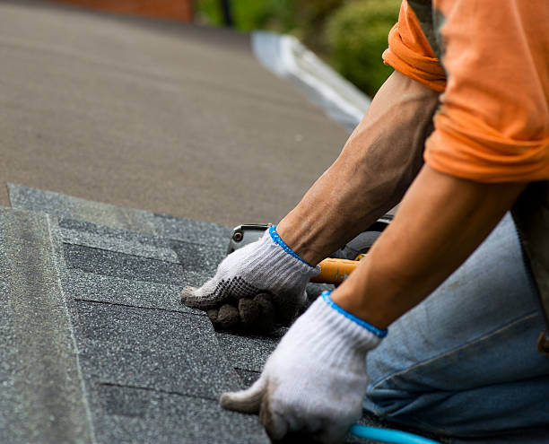 Best Gutter Installation and Roofing  in Barrington Hls, IL