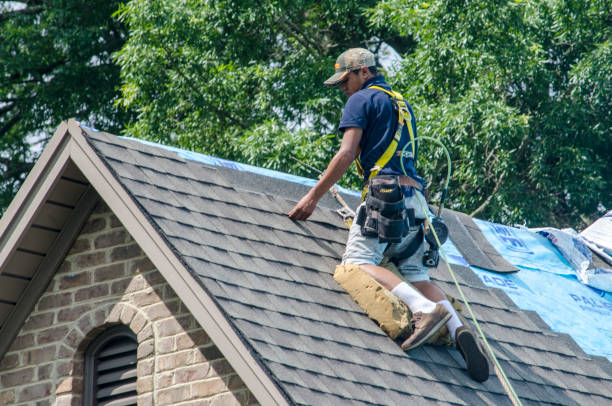 Best Storm Damage Roof Repair  in Barrington Hls, IL